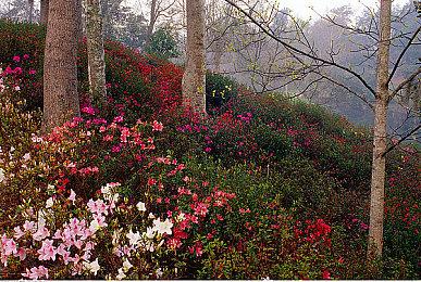 《原子陨落》发布全新DLC宣传片！9月16日上线
